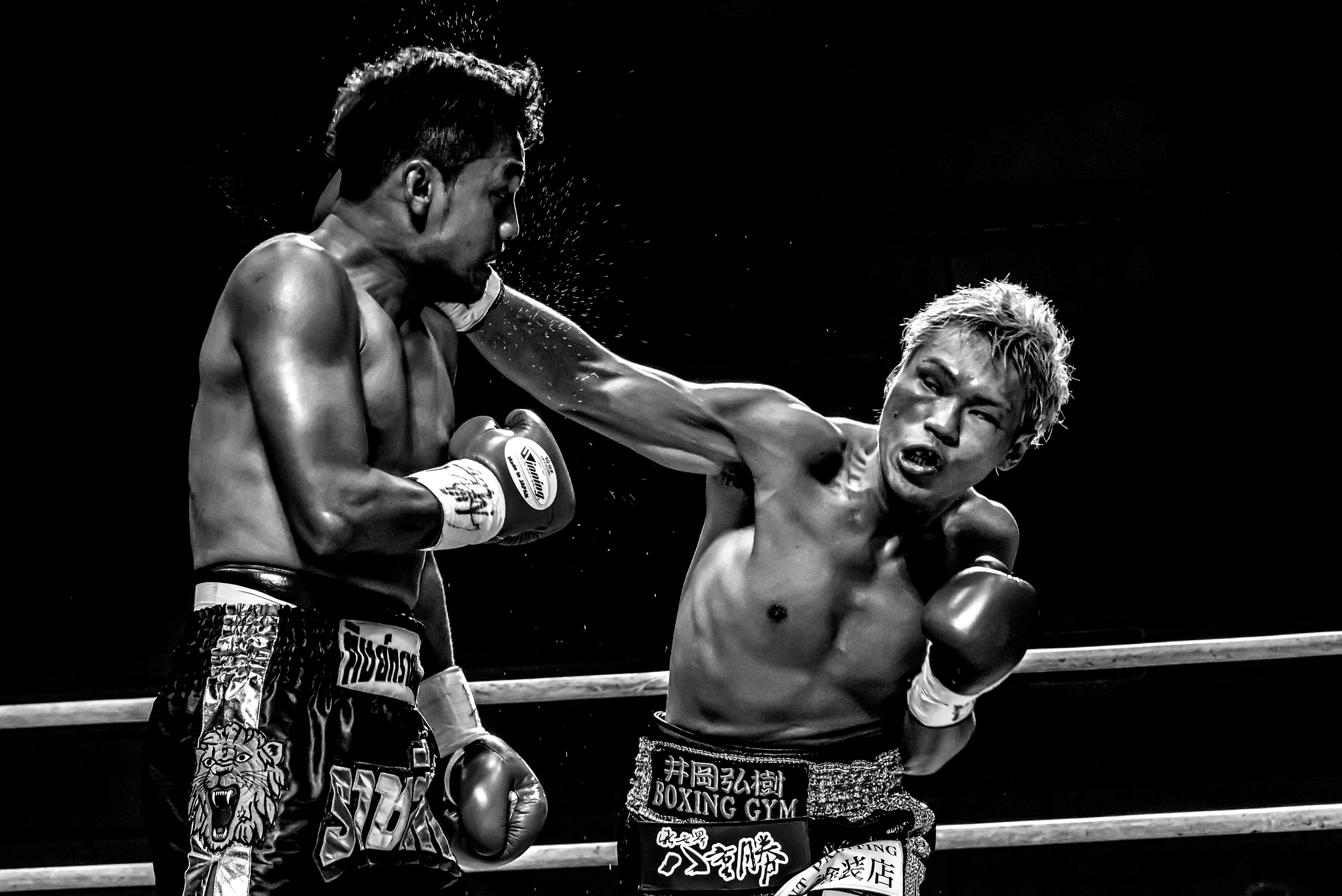 ボクシングで拳を激しく打ち合う漢たち（実寸）